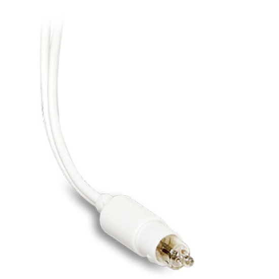 Immagine di Lampada spia 230V cavo mm.100